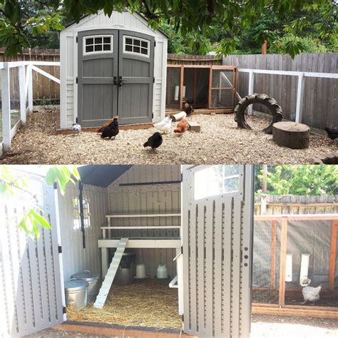 metal shed chicken house|plastic storage shed chicken co-op.